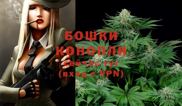 ALPHA PVP Каменногорск