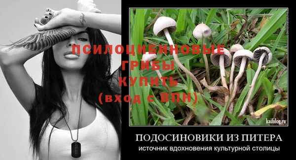 ALPHA PVP Каменногорск