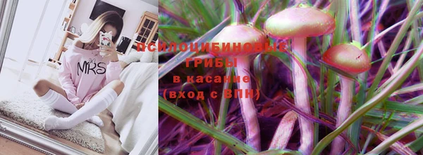 шишки Каменск-Шахтинский
