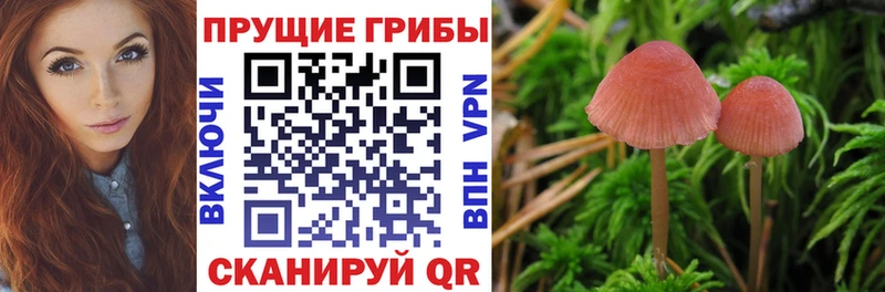 Галлюциногенные грибы мицелий  Купить  Бирск 